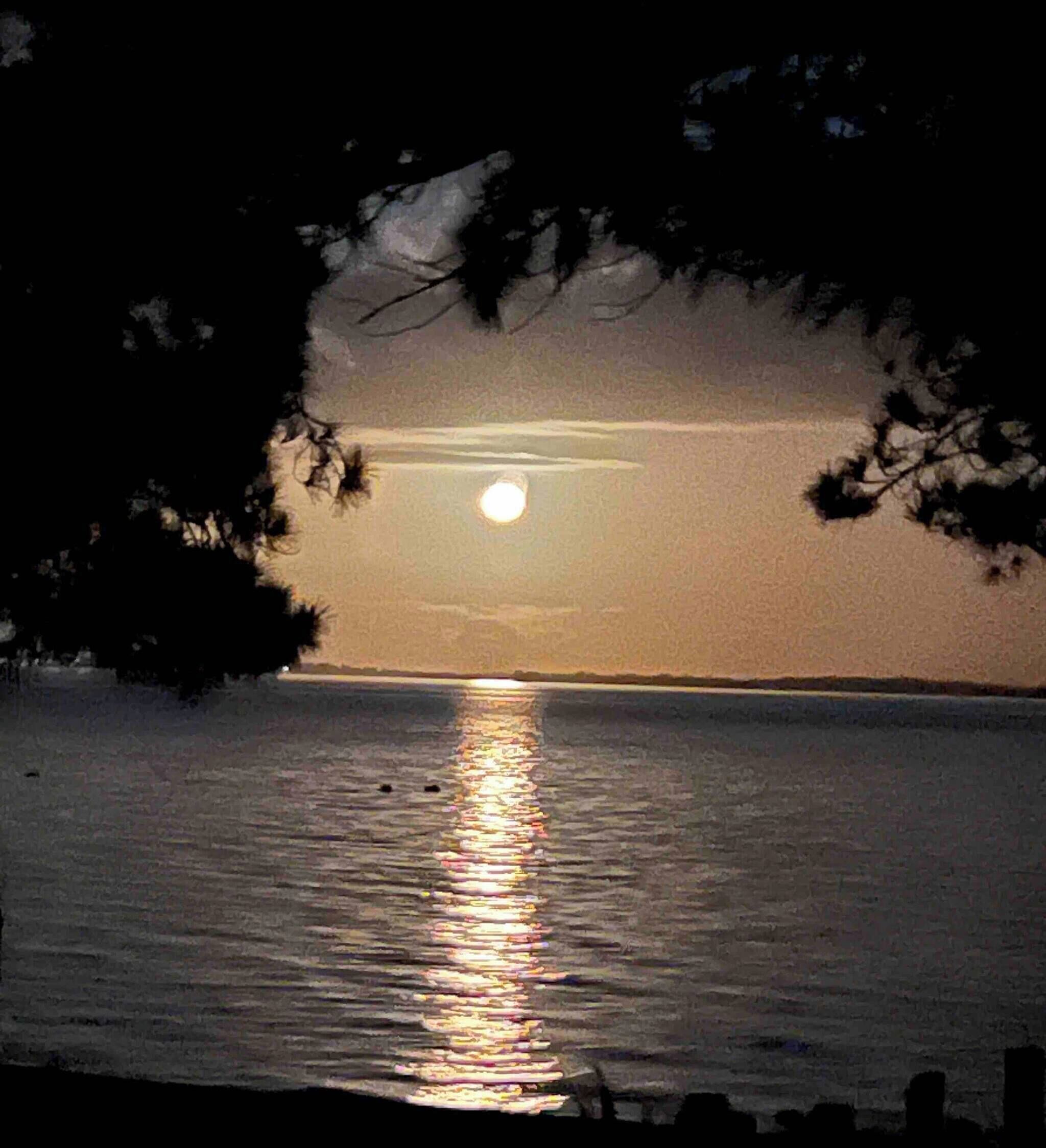 Um pôr do sol sobre águas calmas, com silhuetas de árvores emoldurando a paisagem.