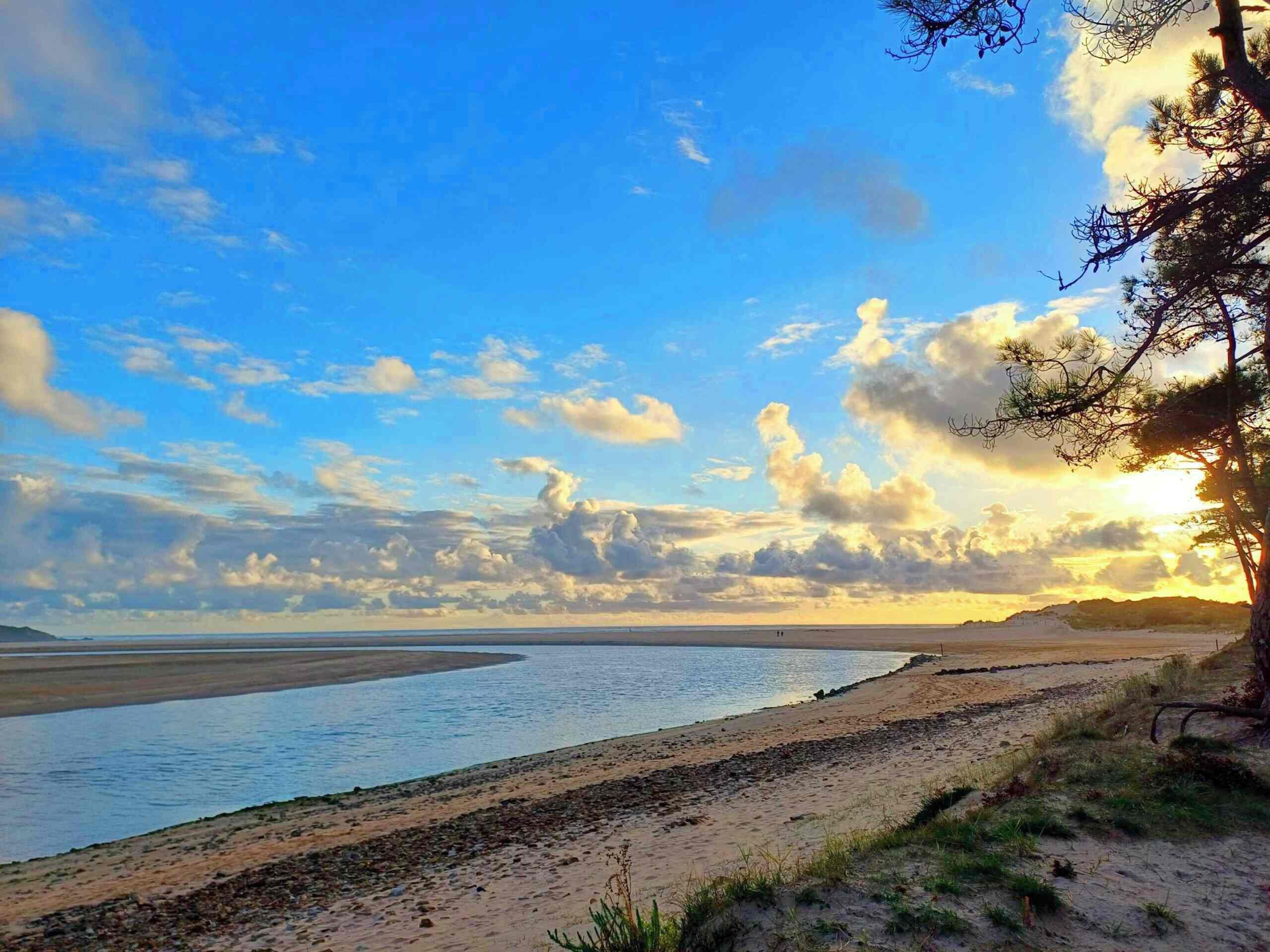 Eine Küstenlandschaft mit Sandstrand, ruhigem Gewässer und einem Baum unter blauem Himmel.