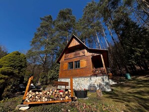 Ulkopuoli