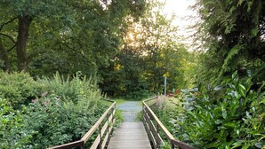 A wooden bridge with metal railings, surrounded by dense greenery and trees.