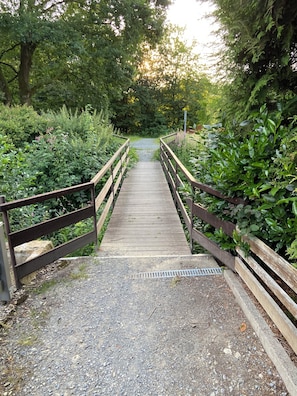 Un puente de madera con barandillas metálicas, rodeado de abundante vegetación y árboles.