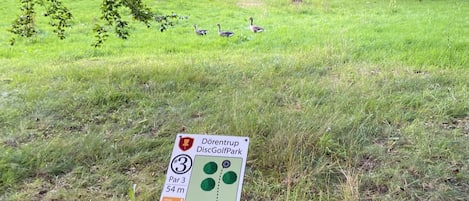 Ulkoalueet