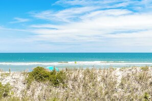 Een strand met heldere lucht, oceaan golven en schaarse begroeiing.