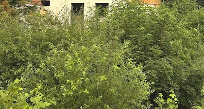 SchiScho's Lodge - The starting point for your adventure in Almenland
