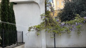 En innergård med ett kullerstensbelagt golv, ett svart metallstaket och en byggnad med en vit vägg och lila, blommande klätterväxter.