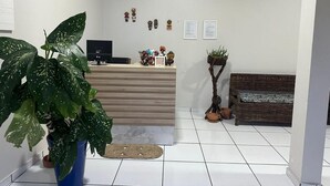Zona de recepción con mostrador, una planta grande en maceta, un banco de mimbre y una cámara de seguridad en la pared.