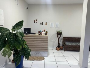 Zona de recepción con mostrador, una planta grande en maceta, un banco de mimbre y una cámara de seguridad en la pared.