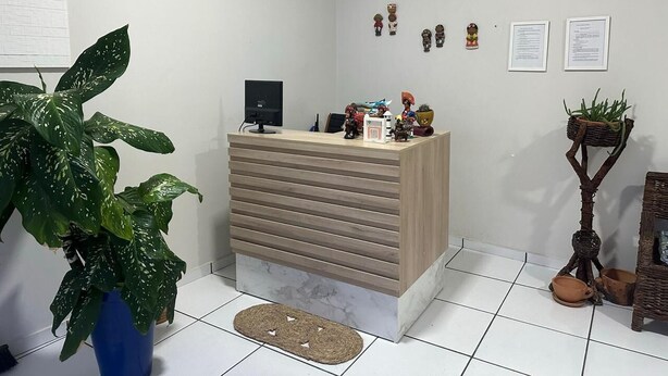 Un mostrador de recepción con un monitor de computadora, una planta en maceta y elementos decorativos en la pared.