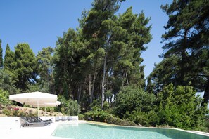 Ein Schwimmbecken mit Liegestühlen und Sonnenschirm, umgeben von hohen Kiefern.