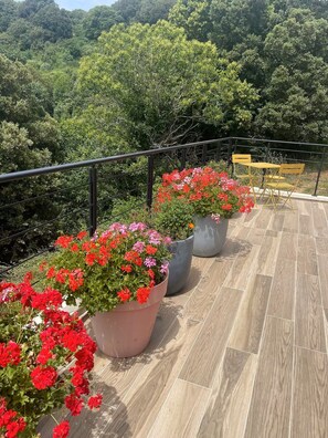 A terrace with potted plants and a bench. - Casa Supranu - Large family villa in the heart of Alta Rocca (Altagène)