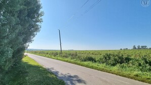 Een landweg met een elektriciteitslijn en een haag aan de linkerkant.
