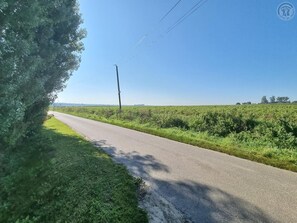 Eine ländliche Straße mit Stromleitung und Hecke links.