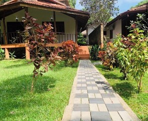 A pathway leading to a building with a porch and a garden with various plants. - Goyambokka Beach Retreat (Tangalle)