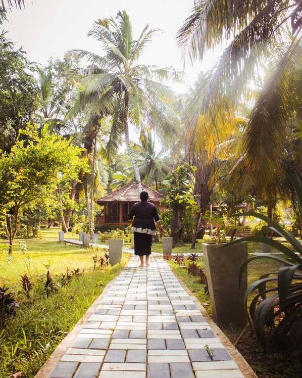 A pathway leading to a building surrounded by palm trees and greenery.