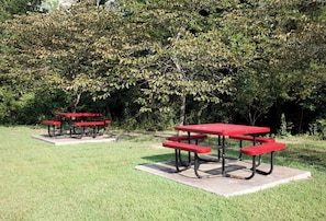 Deux tables de pique-nique avec des bancs, installées dans un espace herbeux, avec des arbres en arrière-plan.