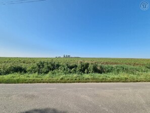 A rural landscape with a clear road in the foreground and a field in the background.