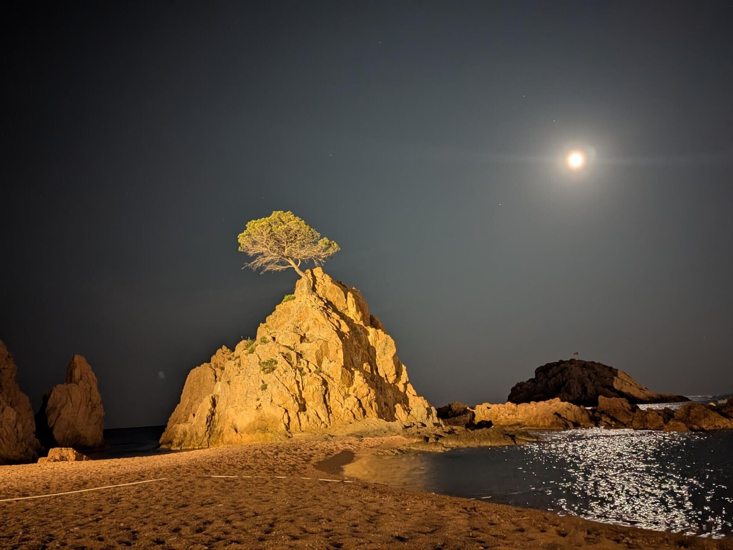 Una scena costiera notturna con una roccia imponente e un albero solitario in cima, illuminata da una luna piena.