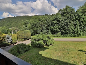 A lush green landscape with a road, dense forest, and a clear sky. - Apartment with parking - 4 guests (Les Gets)