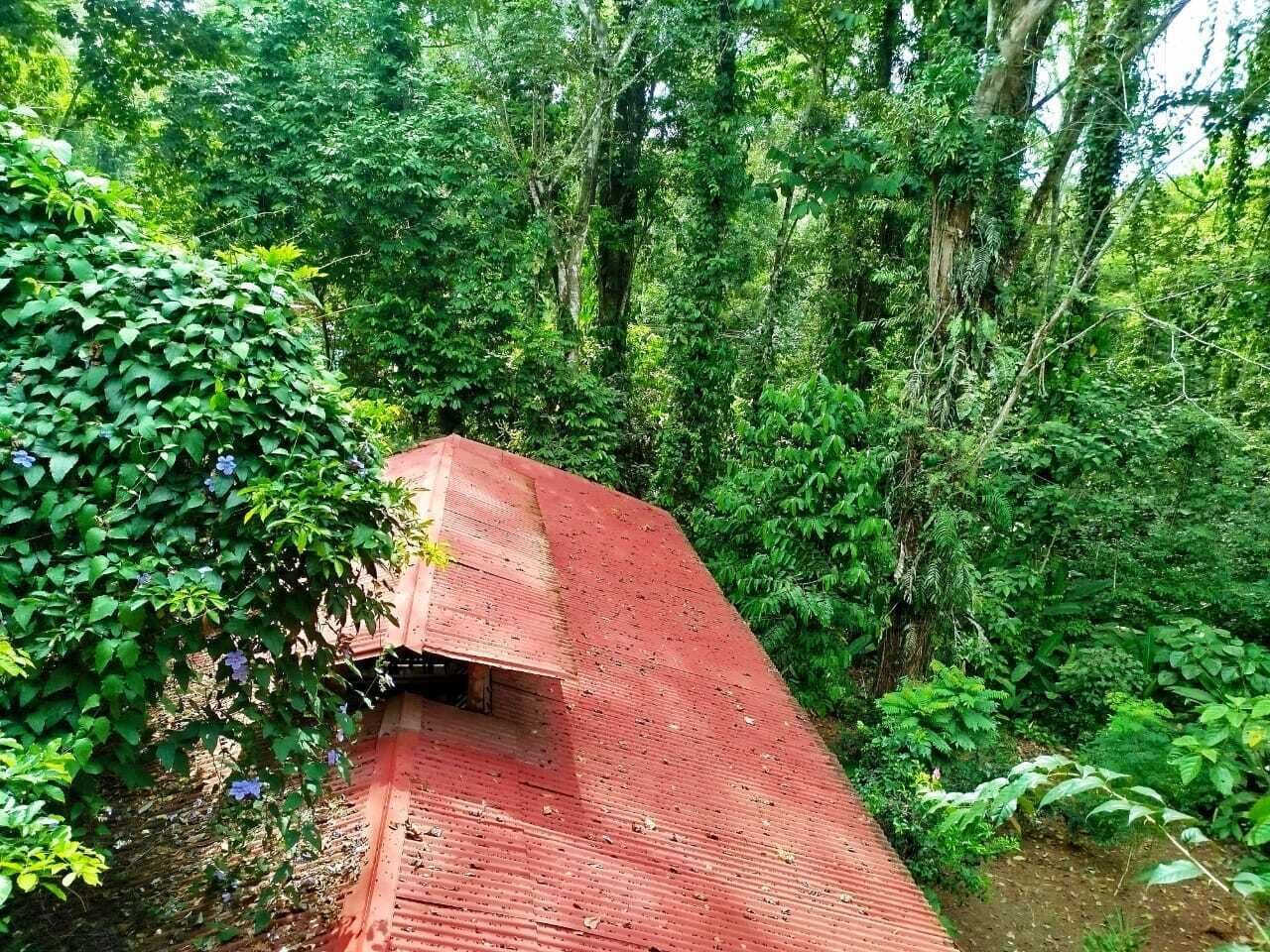 A red wooden bridge in a forested area.