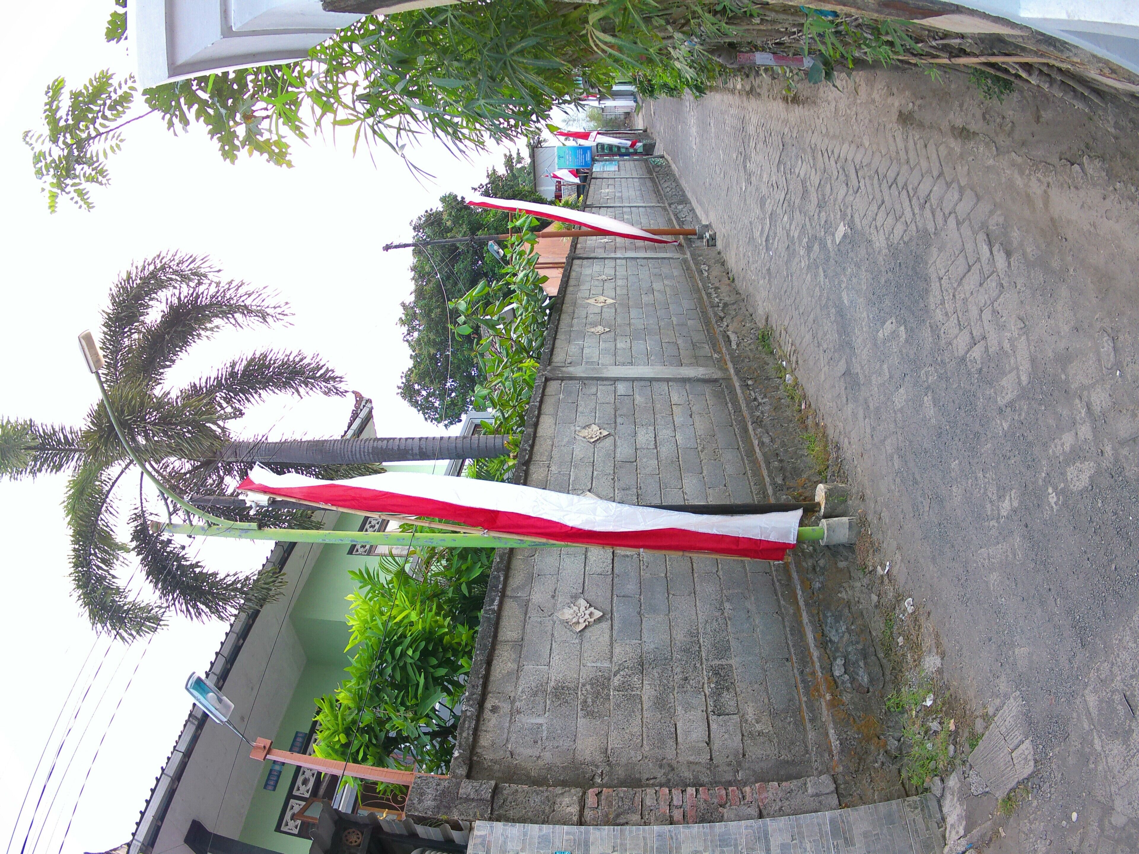 A paved pathway with a red and white banner, palm trees, and a building with a green facade.
