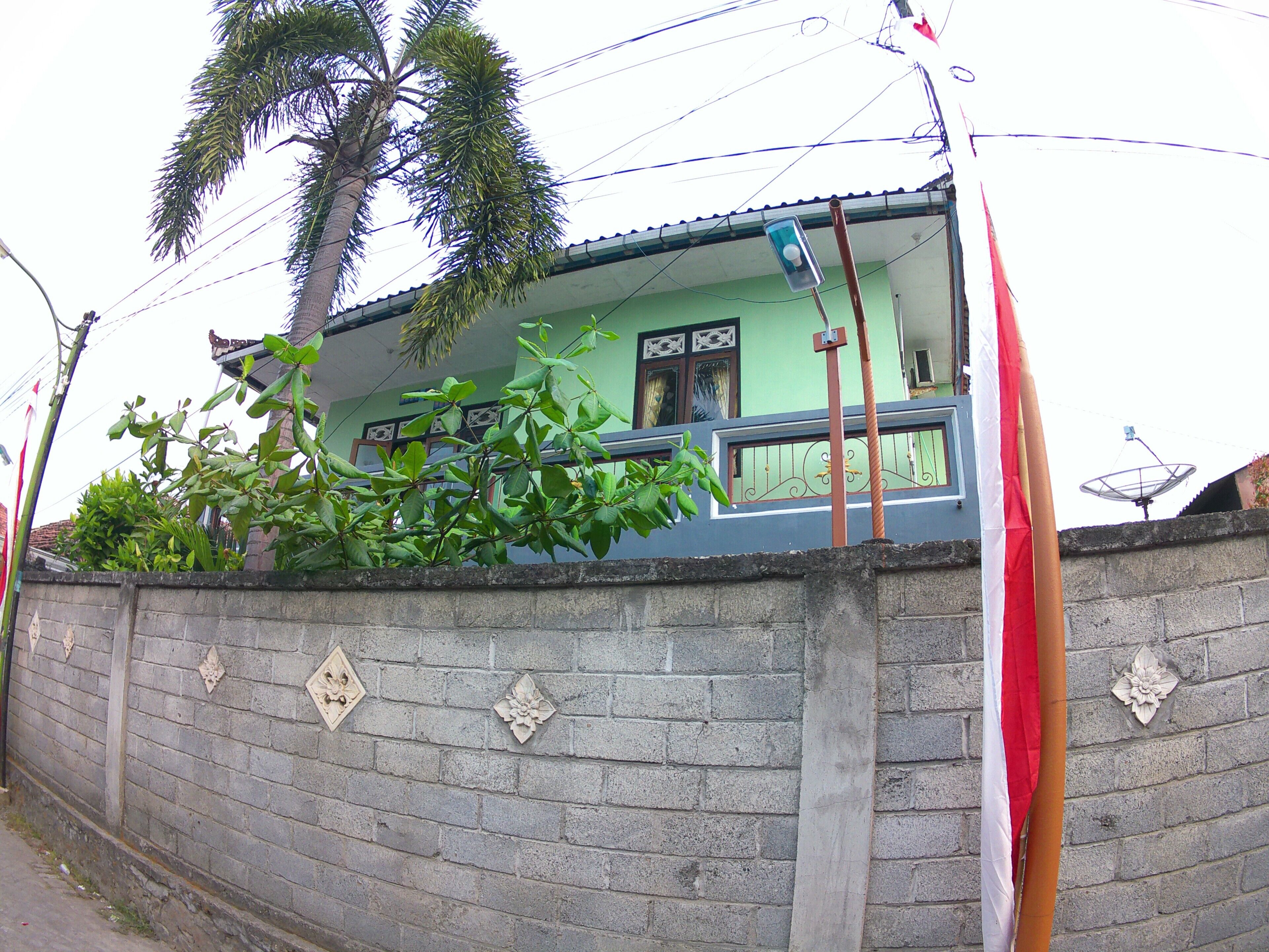 A residential building with a green facade, a satellite dish, and a palm tree.