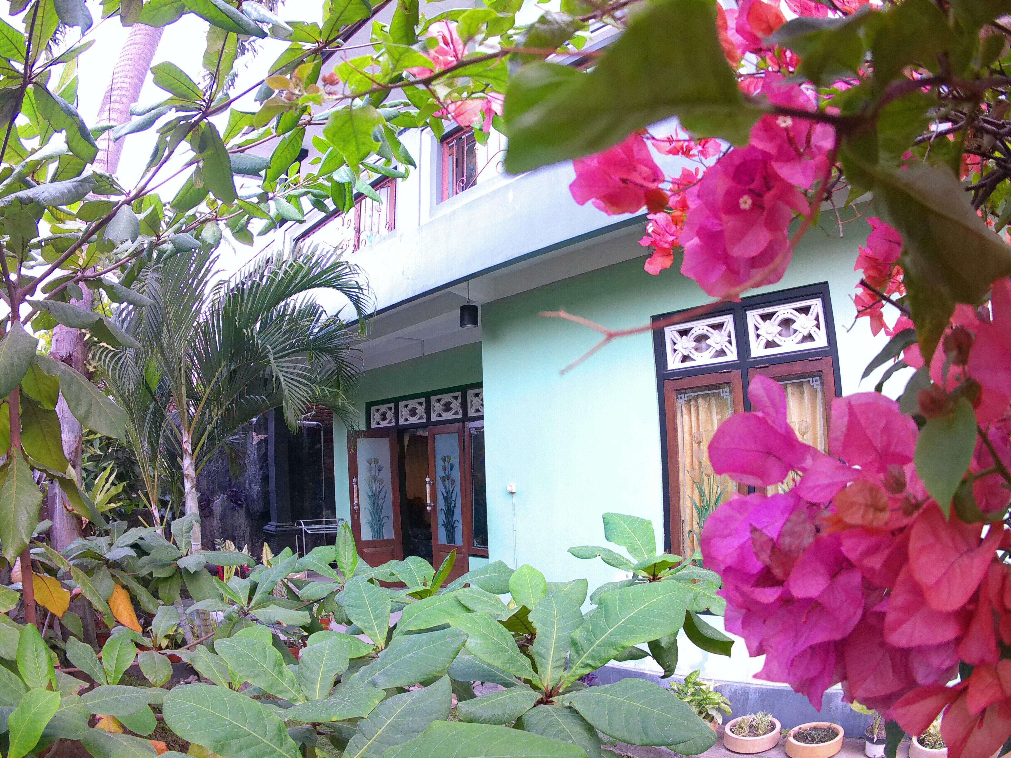 A courtyard with a building, potted plants, and a palm tree.