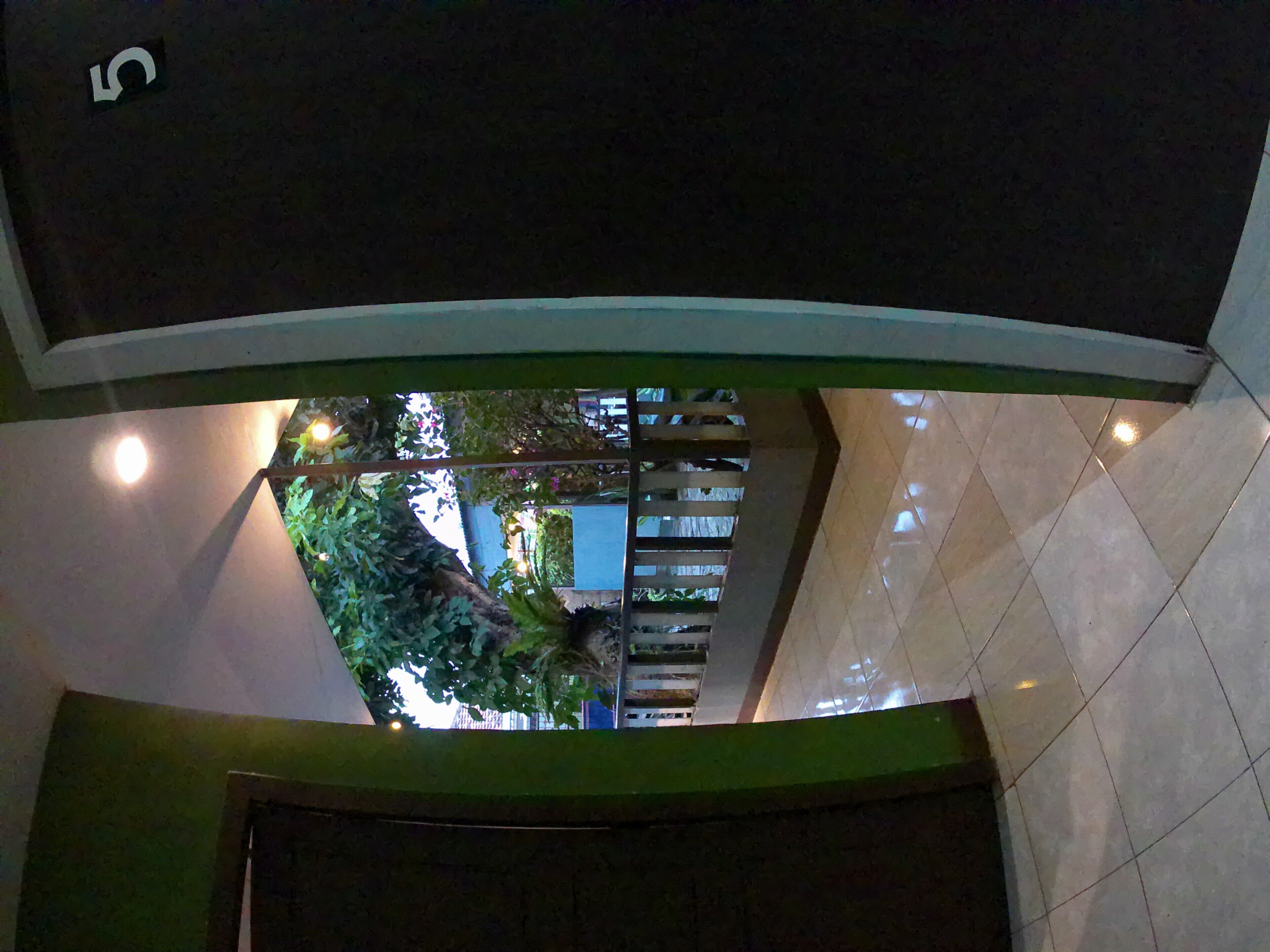 Vista desde un pasillo con suelo de baldosas, pared verde y una puerta al final.