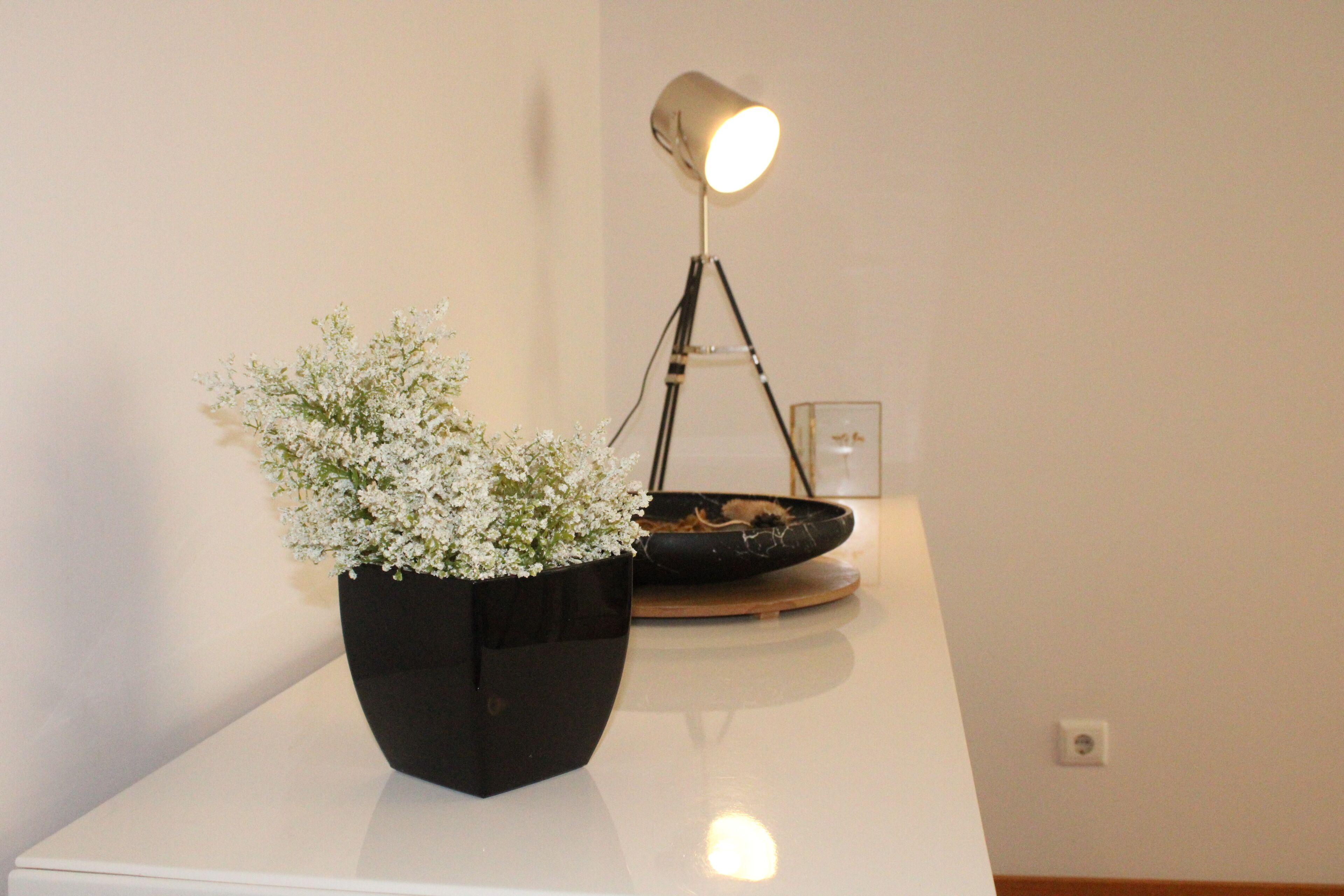 A potted plant on a white surface with a lamp in the background.