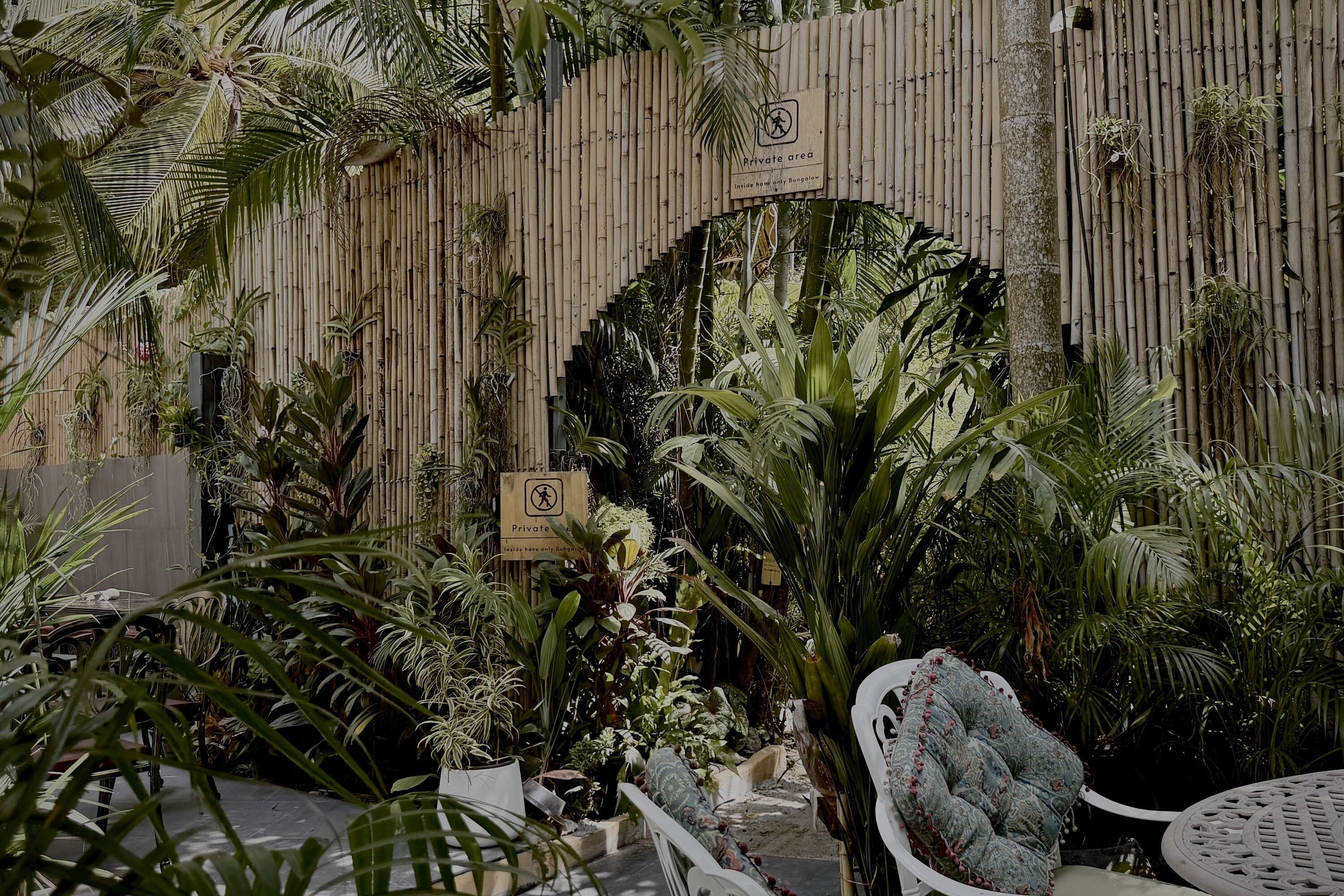 Un jardín privado con cerramiento de bambú, diversas plantas tropicales y mobiliario exterior.