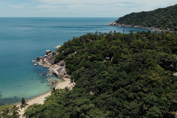 Un paysage côtier avec une plage, une végétation luxuriante et une vue dégagée sur la mer.
