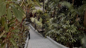 A pathway flanked by dense foliage and a metal railing, leading to a building entrance.