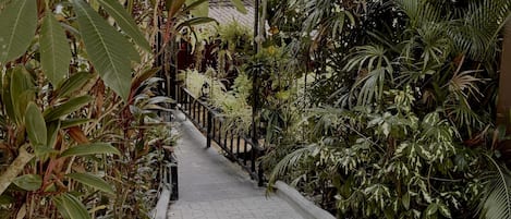 Un sendero bordeado por follaje denso y una barandilla de metal, que conduce a la entrada de un edificio.