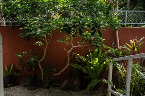 Un jardín con plantas en macetas, una cerca metálica y un muro rojo.