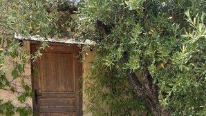 Un petit espace extérieur aménagé avec une table et deux chaises, une porte en bois et un arbre.