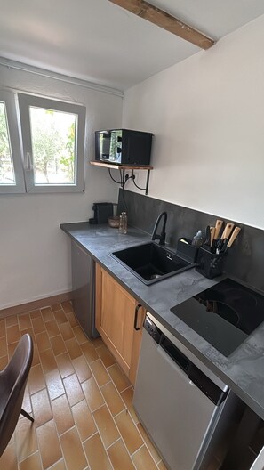 A compact kitchen with a built-in dishwasher, a double sink, and a microwave on a shelf. - Casa Geco: Peace and Quiet, Nature, a Pool, and Independence (Flayosc)