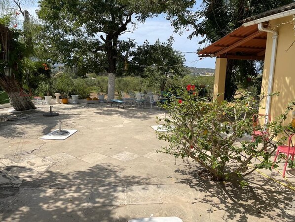 Un patio al aire libre con un área de estar, una pérgola y un pequeño jardín con plantas en macetas.