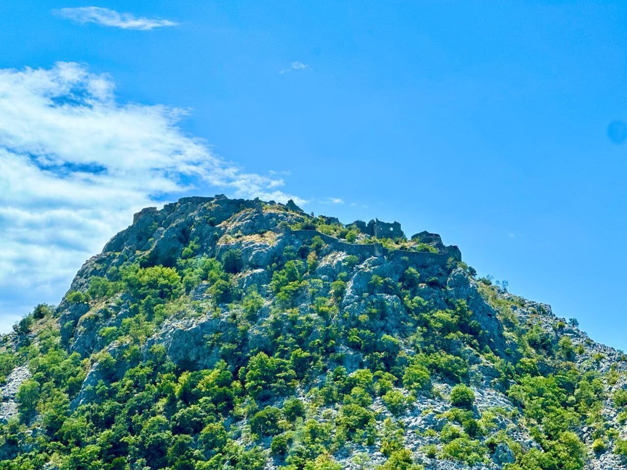 Eine gebirgige Landschaft mit dichter Vegetation und felsigem Untergrund.