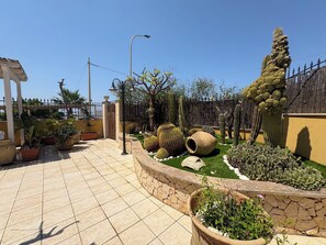 Ein angelegter Garten mit verschiedenen Kakteen und Pflanzen, einer gefliesten Terrasse und einem Zaun.