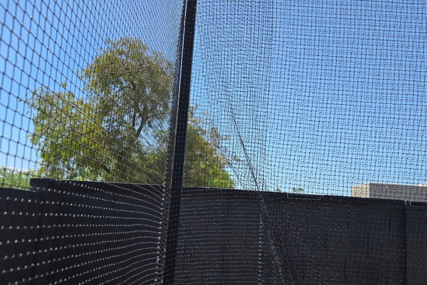 A clear view of a mesh fence with a tree in the background.