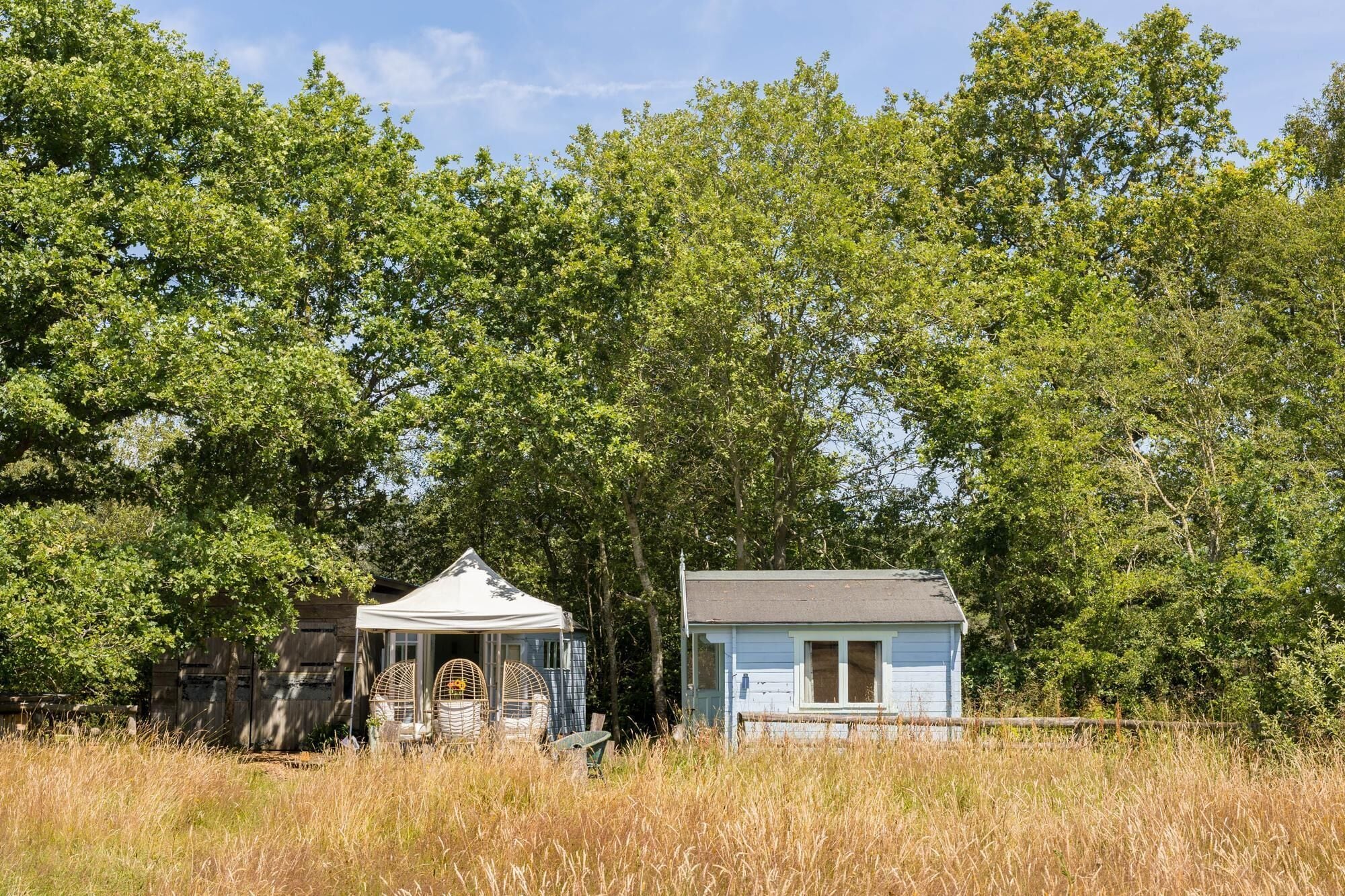 A small, single-story building with a gabled roof, surrounded by tall grass and dense trees.