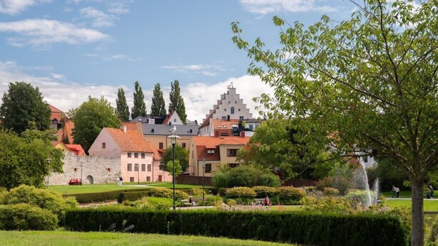 Un jardin aménagé avec une fontaine, entouré de bâtiments à l’architecture variée.