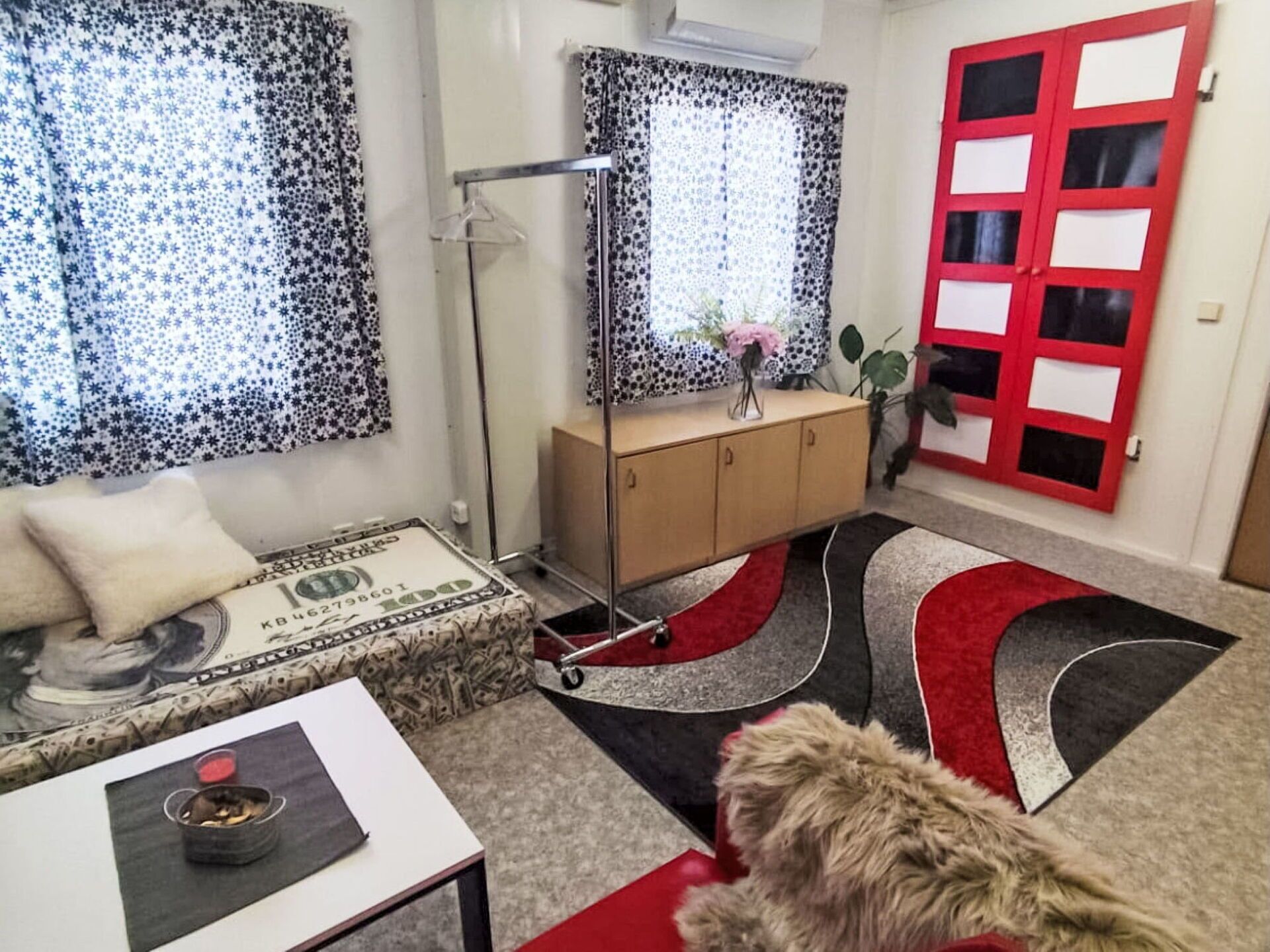 A room with a sofa, a table with a bowl, a cabinet, a red and black rug, a plant, and a red door.