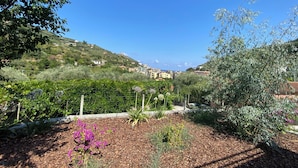 Un jardín con diversas plantas y vistas a un paisaje montañoso con edificios.