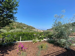 Property grounds - In the hills of the Italian Riviera, a fully renovated 47-square-meter loft (Liguria)