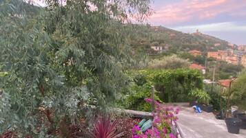 Um jardim com diversas plantas e flores, um caminho de pedra e vista para uma cidade distante.