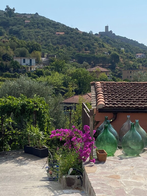 A rooftop terrace with potted plants and green glass bottles, overlooking a hillside with buildings and a castle.