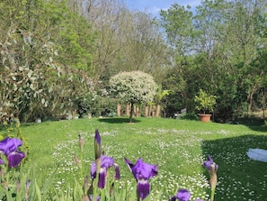A garden with a variety of trees and a lawn.