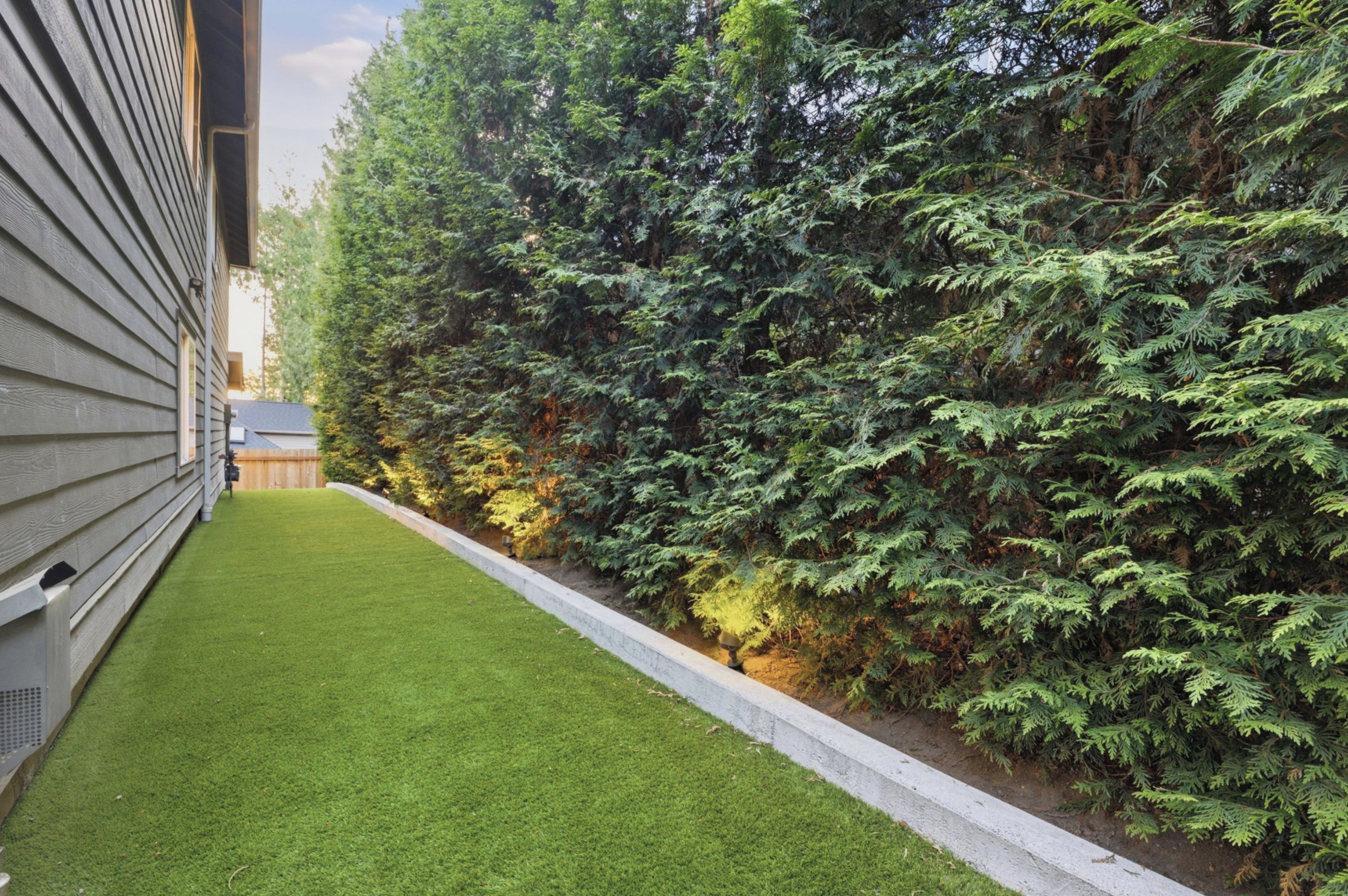 A narrow pathway flanked by a well-maintained lawn and dense evergreen shrubbery.