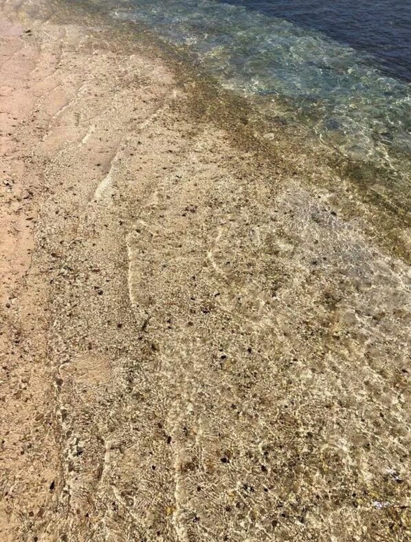 A sandy beach with clear water. - Waterfront Condo, Private Marina Island,
Fajardo (Fajardo)
