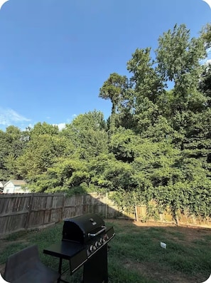 Property grounds - Chic spacious retreat in Charlotte, NC Near city and airport! (Charlotte)